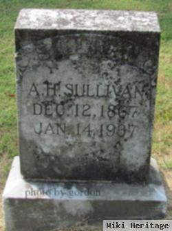 Alvie H Sullivan