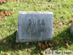 Harold L. Burr