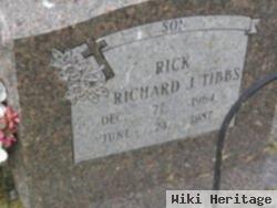 Richard J Tibbs