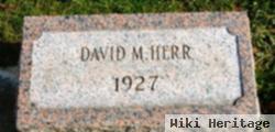 David M Herr