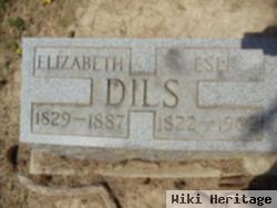 Elizabeth Stebbins Dils