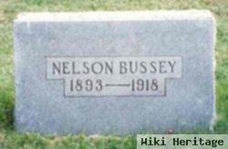 Paul Nelson Bussey