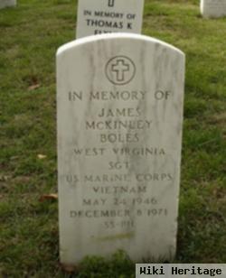 Sgt James Mckinley Boles