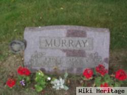 Alice V Murray