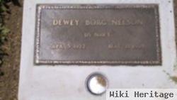 Dewey Borg Nelson