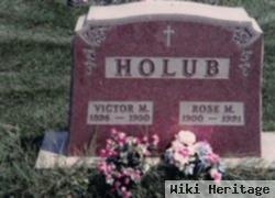 Rose M Holub