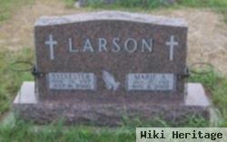 Marie Ann Henrich Larson