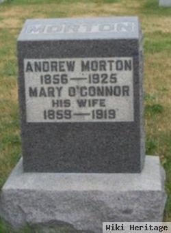 Mary O'connor Morton