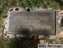 Sgt Joseph Harbonic