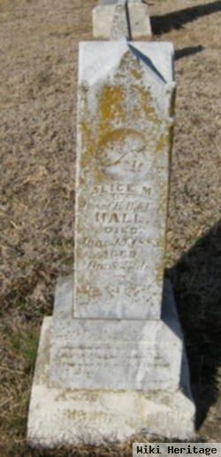 Alice M. Hall