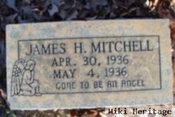 James H Mitchell