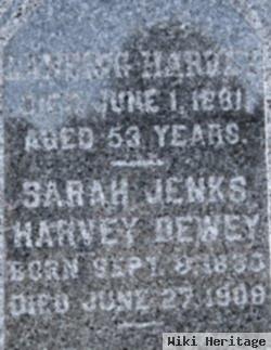 Sarah Jenks Harvey