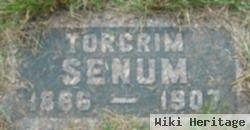 Torgrim Senum