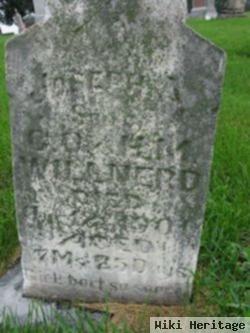 Joseph A. Willnerd