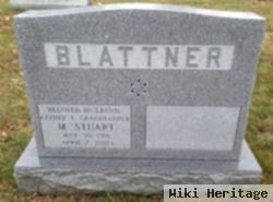 Meyer Stuart Blattner