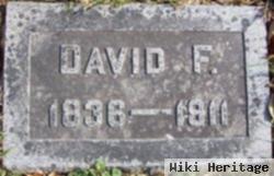 David F Gross