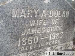 Mary Ann Dolan Brice