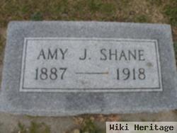 Amy J. Driscoll Shane