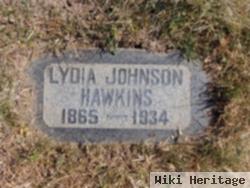 Lydia Ann Johnson Hawkins