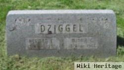 Herman E. Dziggel