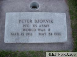 Pvt Peter Bjorvik