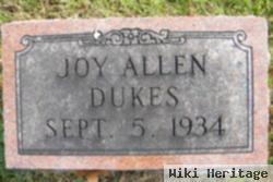 Joy Allen Dukes