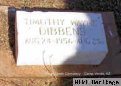 Timothy Wayne Dibbens