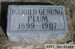 Harold Genung Plum