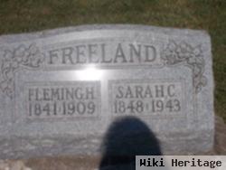 Fleming H Freeland