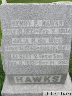 Henry Porter Hawks