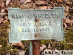 Mary Jane Hopkins Wheeler