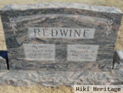 Michael M. Redwine