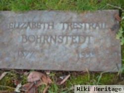 Elizabeth L. Trestrail Bohrnstedt