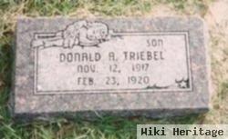 Donald A Triebel