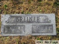 Carrie E. Breiner