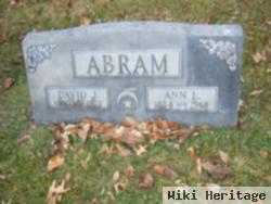 David J Abram