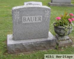 Ignatz Bauer