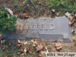Peter A Redfield