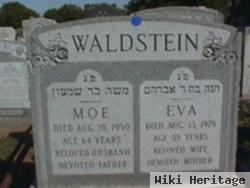 Eva Waldstein