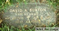 David A Burton