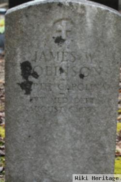 James W. Robinson