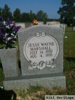 Jesse Wayne Marshall