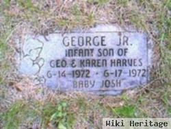 George Robert "baby Josh" Harves, Jr