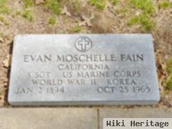 Evan Moschelle Fain