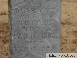 Mary Ellen Wilkerson Cole