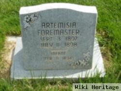 Artemisia Foremaster