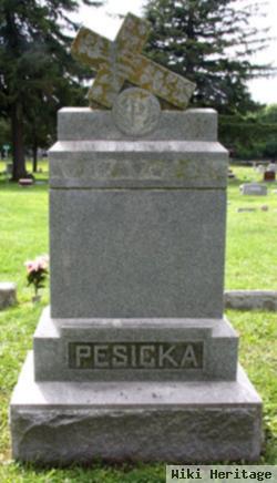 James Pesicka