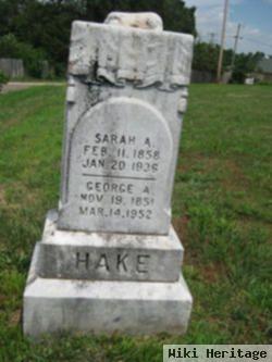 Sarah Ann Box Hake