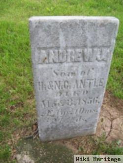 Andrew J. Antile