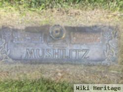 Ivan L Mushlitz